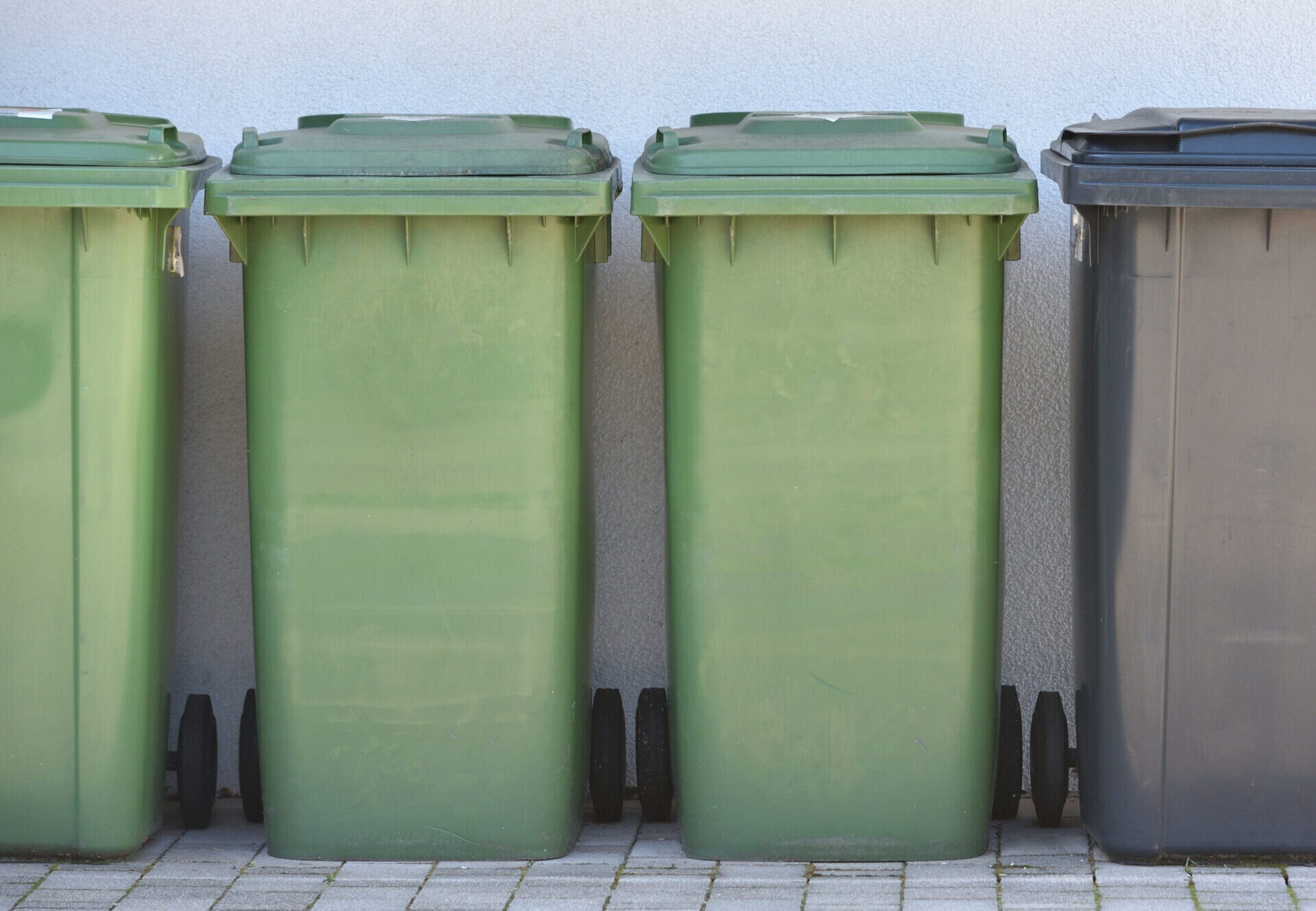 Tre gröna och en svart soptunna står på rad mot en ljusgrå vägg. Tunnornas lock är stängda och placerade på en stenlagd yta. Skuggan faller svagt från vänster sida.