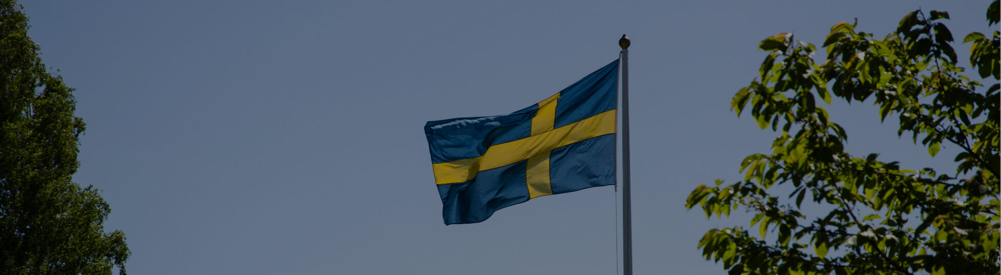 Det saknas en beskrivning av den här bilden, berätta gärna det för oss genom att skicka ett mail med länken till den här sidan till 